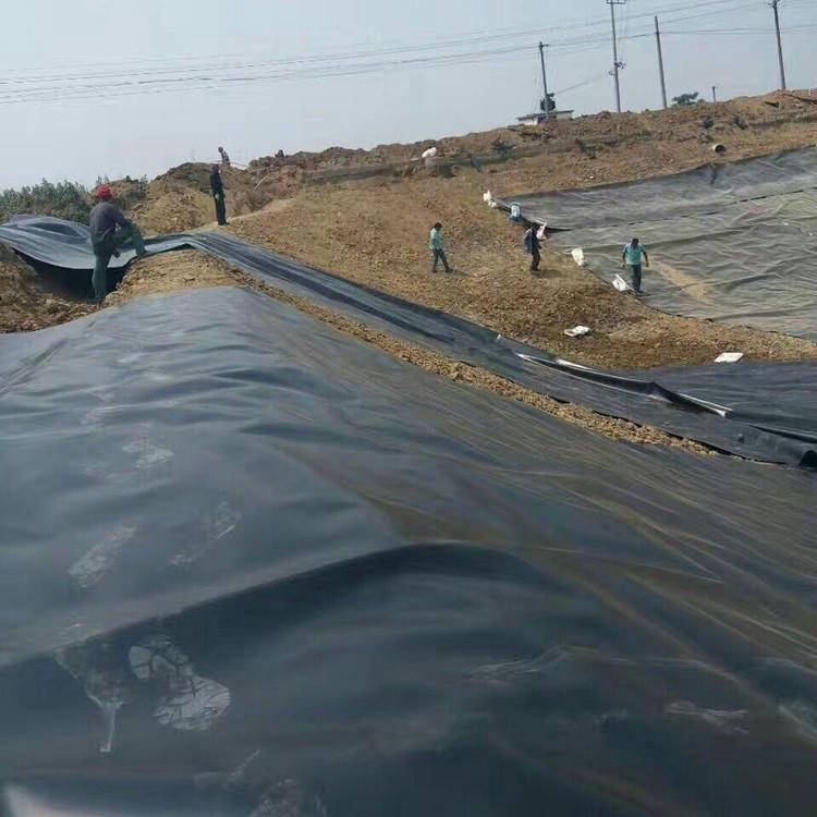 四川藕池防滲膜生産廠家